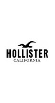 Hollister logo