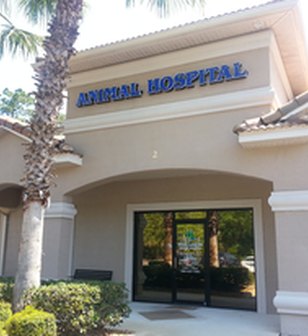 Pine Lakes Animal Hospital PC project